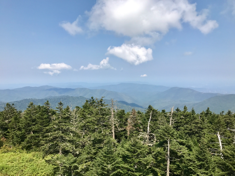 Illustration for article titled Clingmans Dome. Highest point in the Smokies.